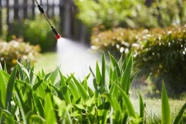 24/7 Emergency Wasp Removal experts in McLeansboro, IL