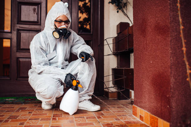 Reliable Wasp Removal contractor in McLeansboro, IL by Show Me Pest Control