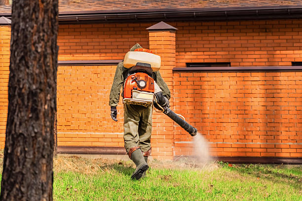 Top rated local Wasp Removal specialists in McLeansboro, IL